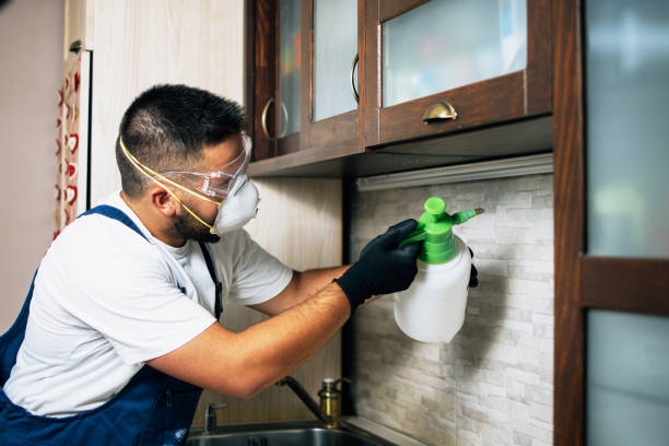 Best Pest Control Near Me  in North Randall, OH