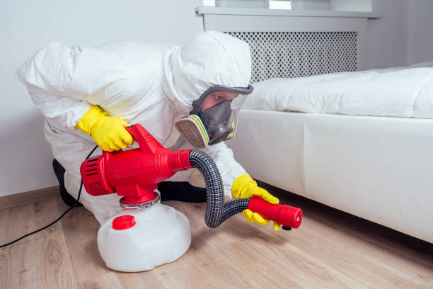 Trusted North Randall, OH Pest Control Experts