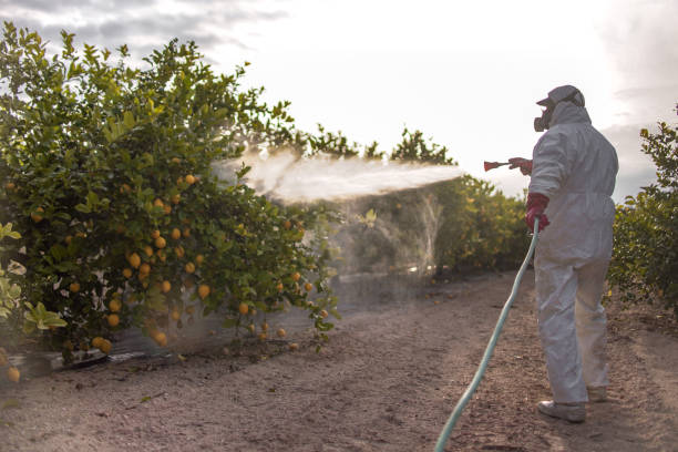 Best Best Pest Control Companies  in North Randall, OH
