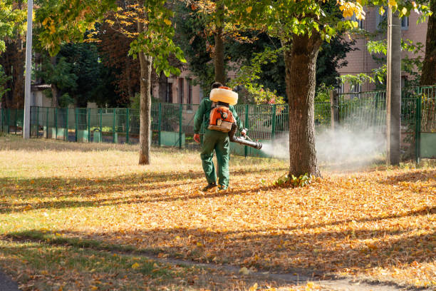 Best Flea Control Services  in North Randall, OH